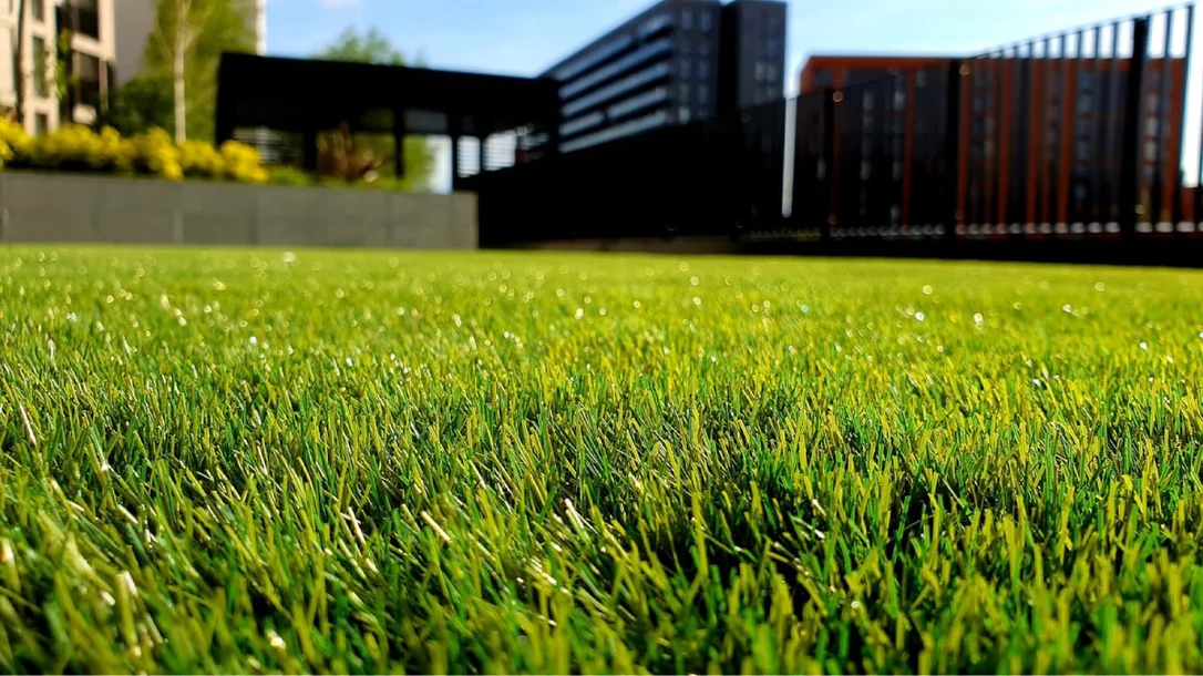 redrockturf20260122100743848836